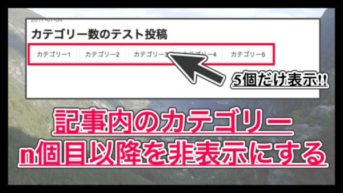 【はてなブログ】記事のカテゴリーでn個目以降を非表示にする方法!