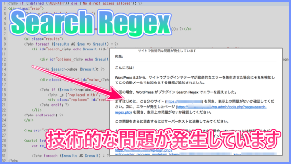 【Search Regex】技術的な問題が発生していますの対処法!コピペOK