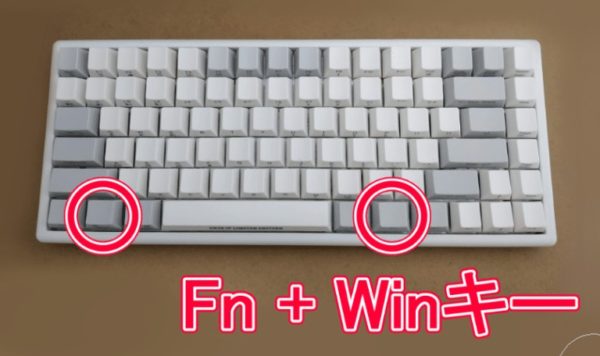 NiZ 静電容量無接点キーボード Fn+Winキー